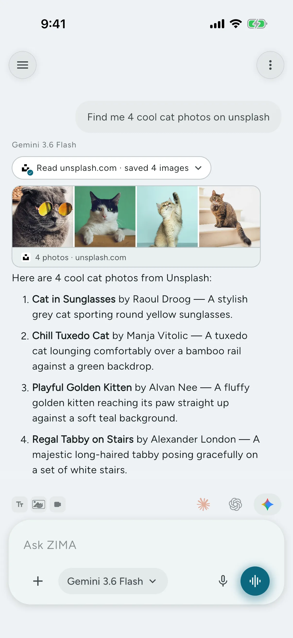 Ask for real photos of anything and ZIMA pulls them off the web into the chat — actual images, not generated ones.
